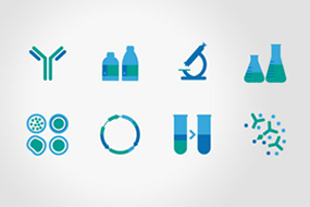 Biomedal, asociado a AINIA Centro Tecnológico, ha elaborado estos iconos relativos al control analítico de alimentos