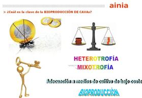 Foto: Claves costes de bioproducción de CAVAs