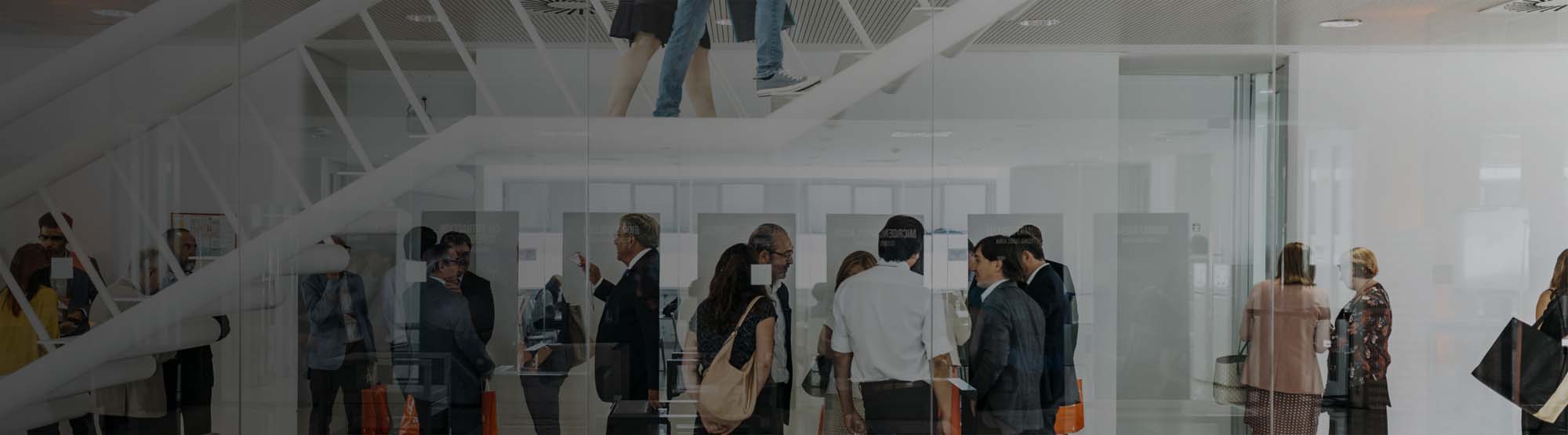 AINIA NETWORK