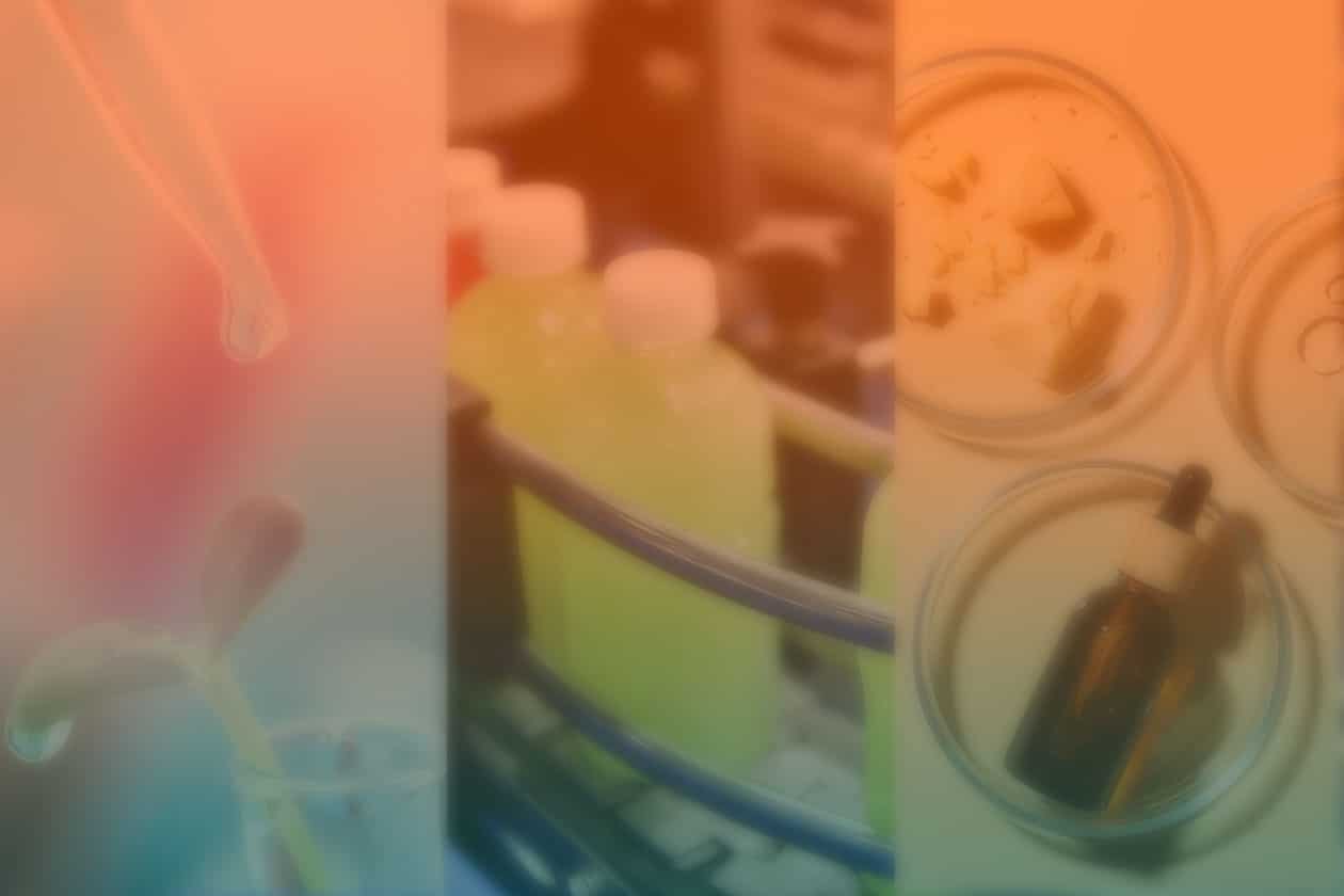 Mesa sectorial. Innovación, sostenibilidad, economía