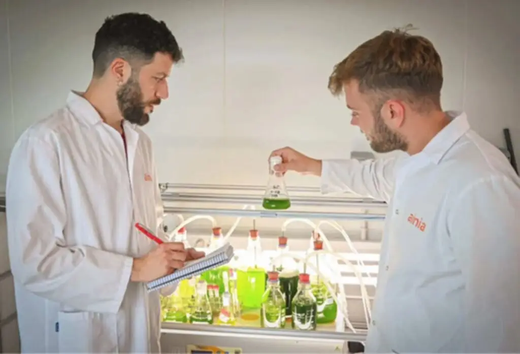 scientists and microalgae