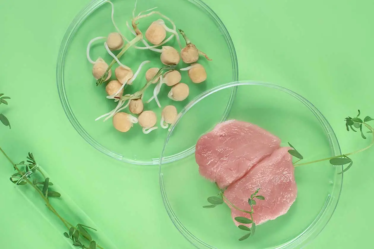 proteínas alternativas, alérgenos, contaminantes residuos