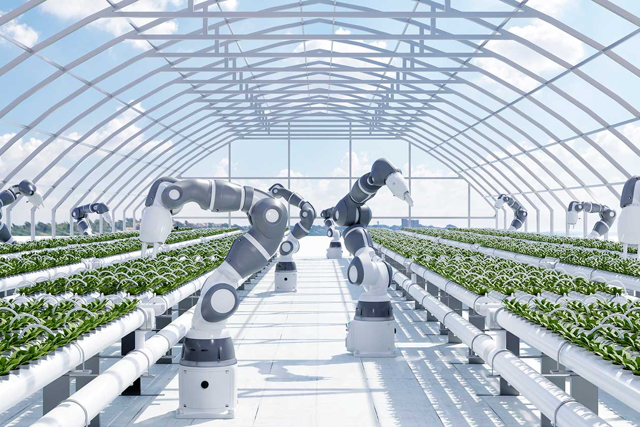 Transformación digital en la industria agroalimentaria